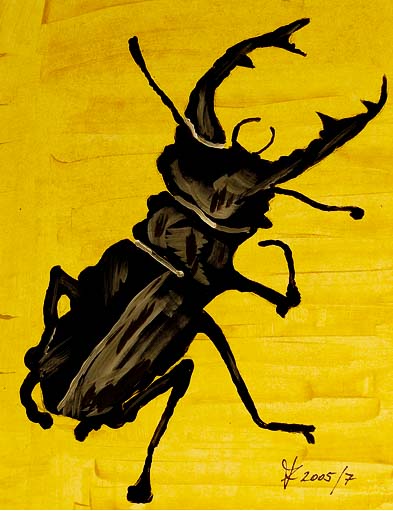 78 Hirschkäfer II. (Lucanus cervus)