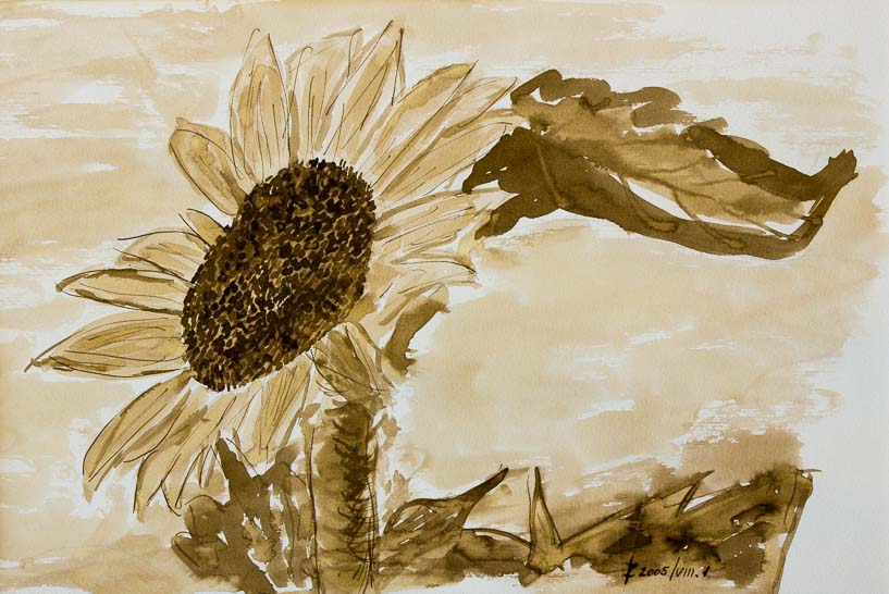 86 Sonnenblume II.