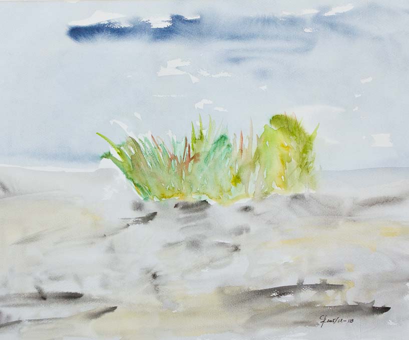 113 Düne an der Nordsee