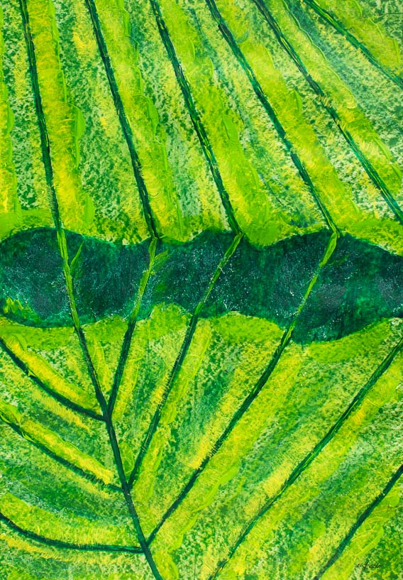 176 Ginkgo Blatt III. -Goliath