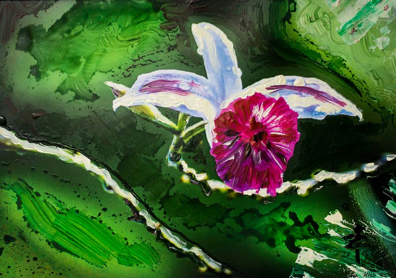 445 Exotische Blüte IV.