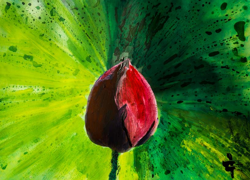 446 Lotusblüte II.