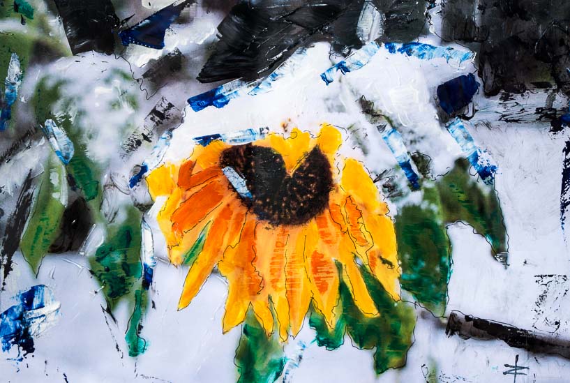 479 Der erste Schnee im Spätherbst-Sonnenblume
