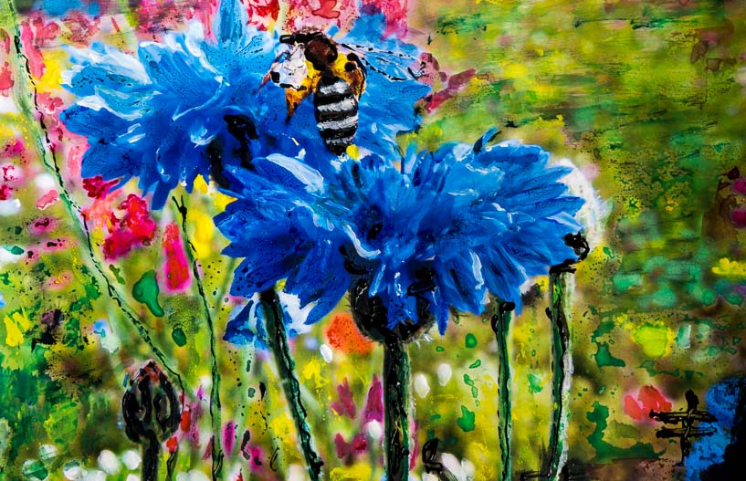 496 Kornblume mit Biene