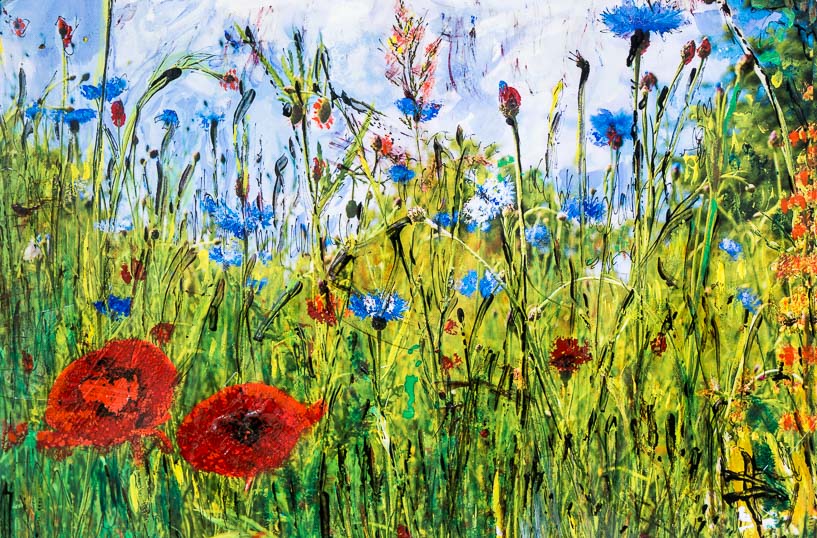 497 Ostfriesische Wiesenlandschaft