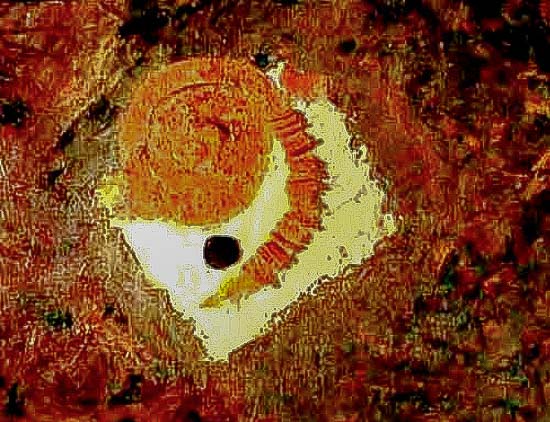 36 Fossil II.