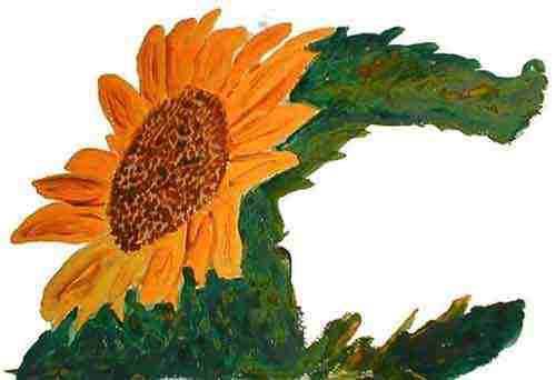 88 Sonnenblume III.